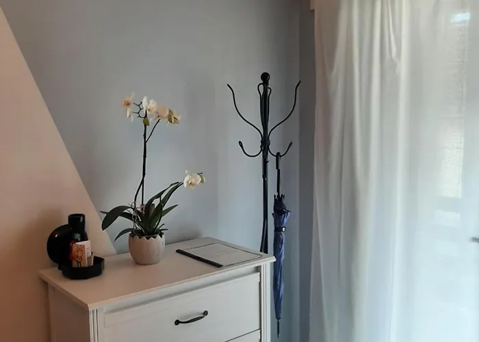 Kuninga 아파트 페르누